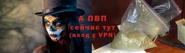 spice Белокуриха