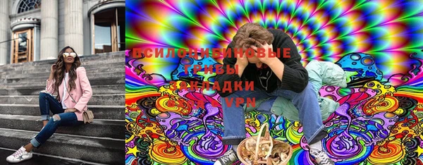 spice Белокуриха