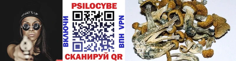 Галлюциногенные грибы ЛСД  что такое   Владивосток 